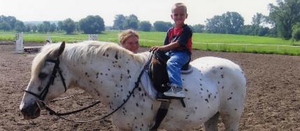 Horse1