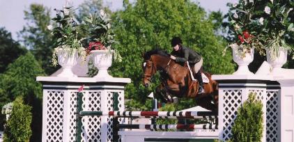 Horse2